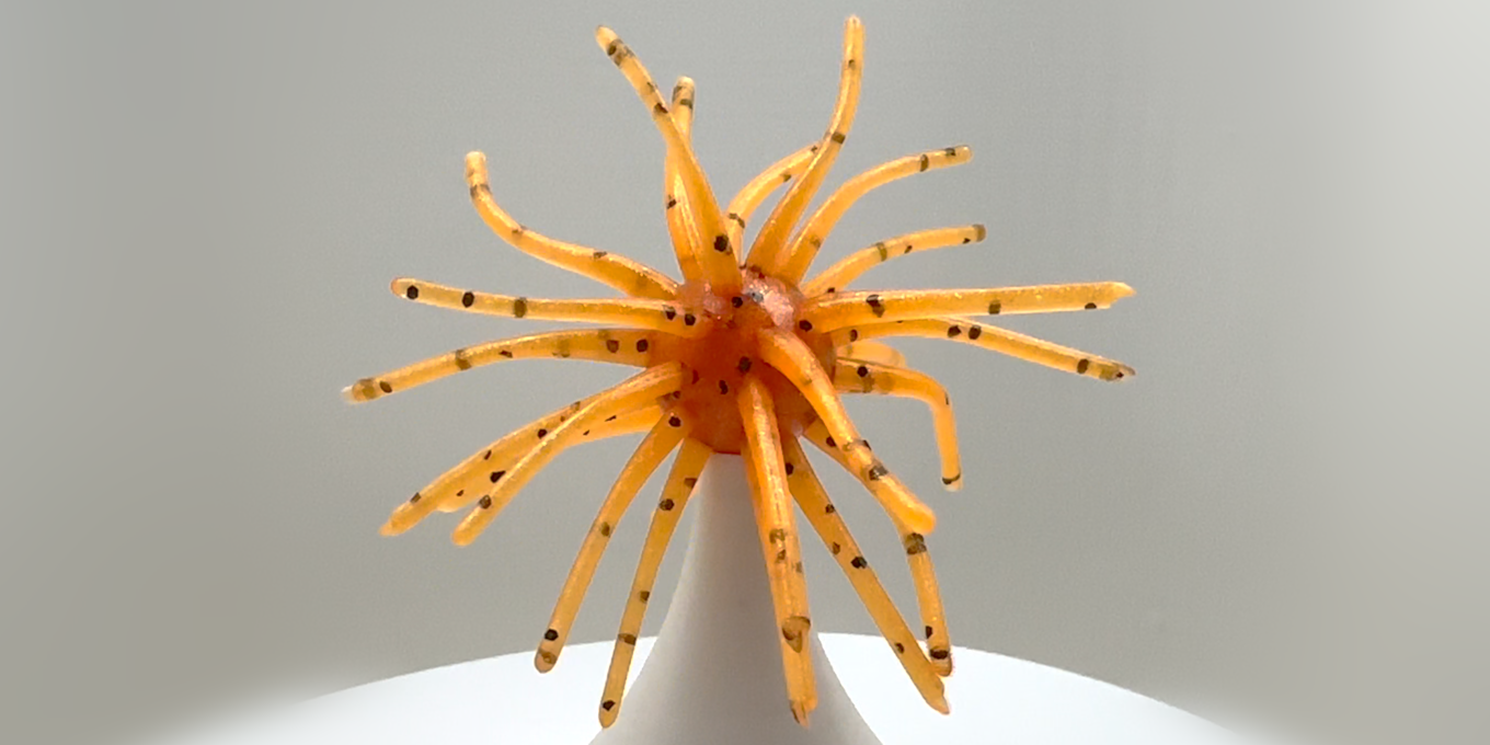 Hair Ball - Orange Mash
